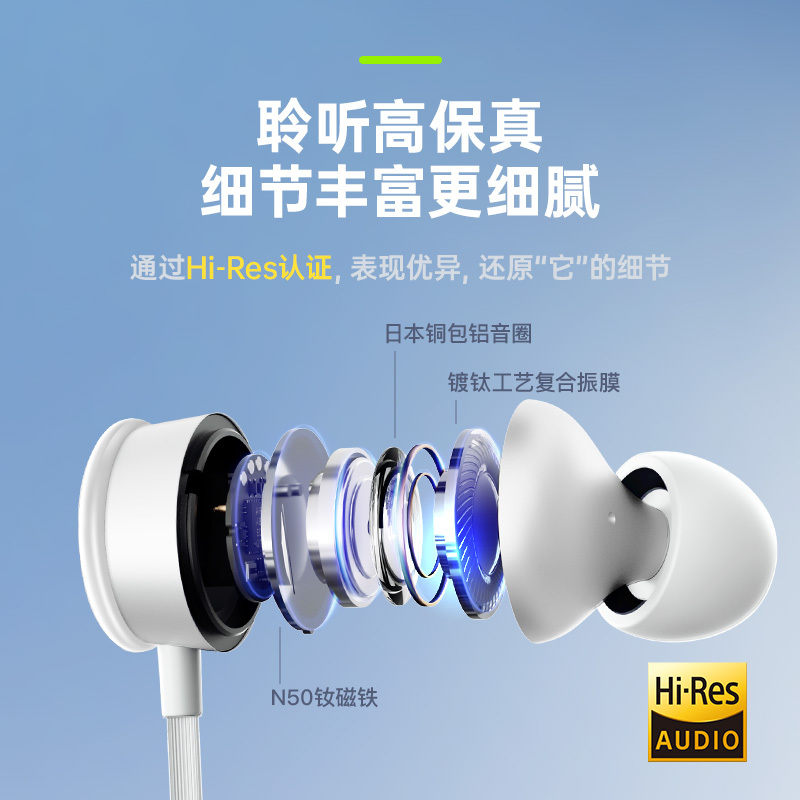 SONGX 有线耳机type-c入耳式耳机Hi-Res金标认证K歌游戏华为小米vivo苹果15手机ipad通用扁头