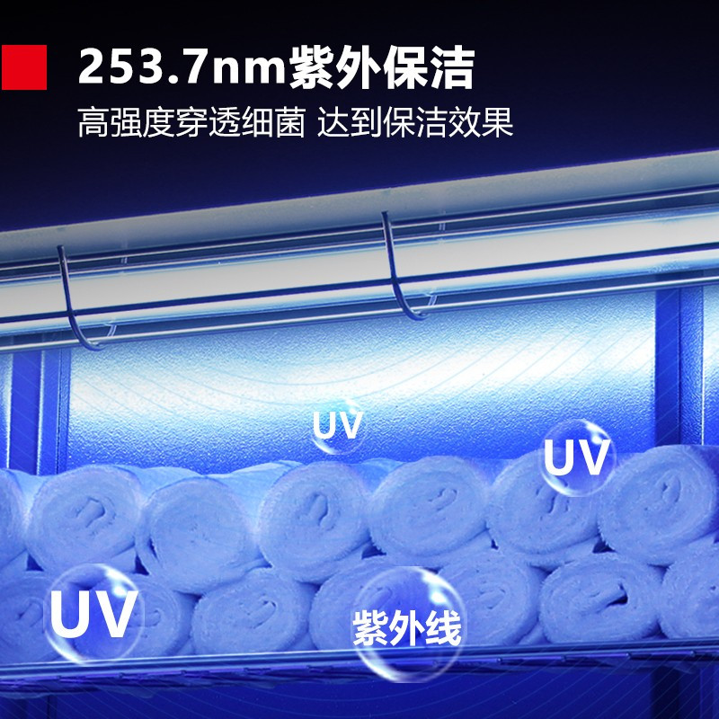 德玛仕(DEMASHI)毛巾消毒柜 商用立式紫外线 双开门 衣物衣服美容院理发店专用710L大容量ZTP910Y-1
