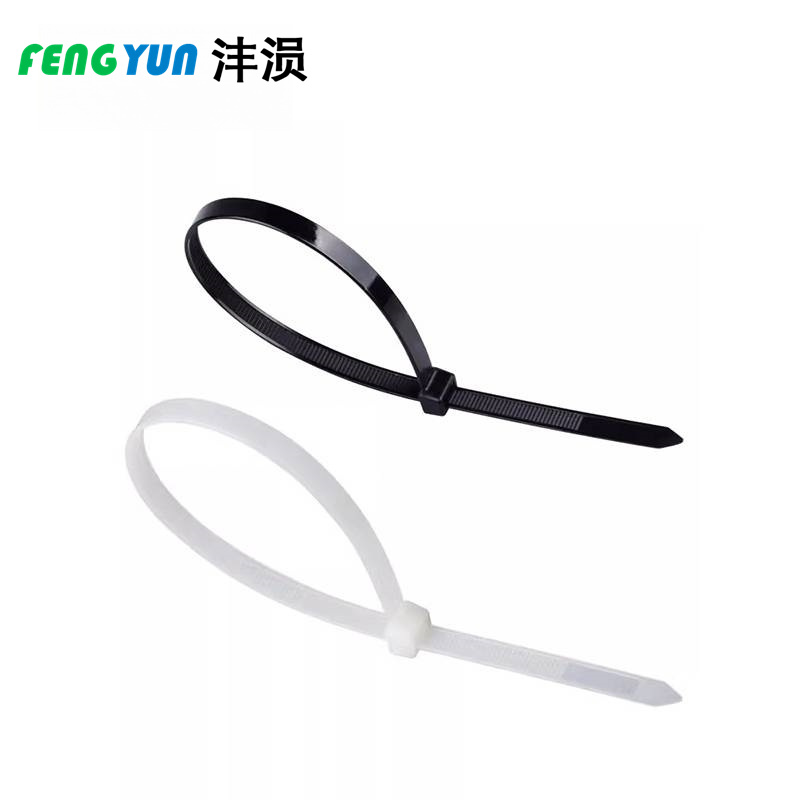 沣涢 尼龙扎带 3*100mm 根高清大图