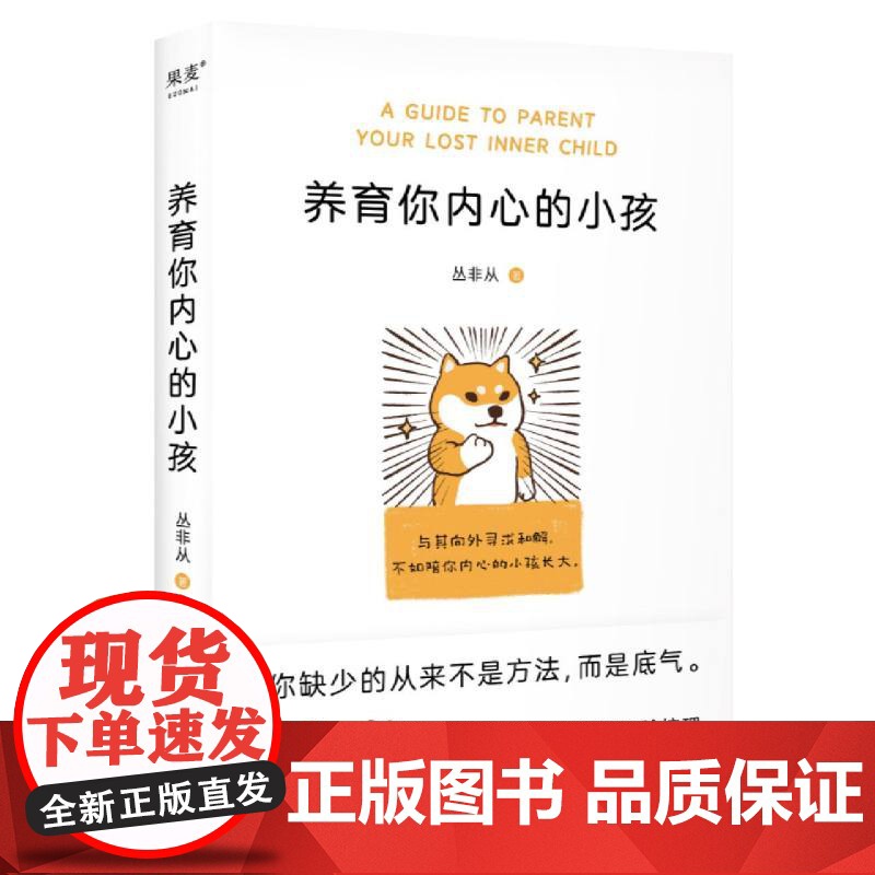 养育你内心的小孩 丛飞从 心理学入门自助疗愈自我成长 心理咨询 亲密关系 焦虑 情绪习惯 自控力 人间清醒 原生家庭 价高清大图