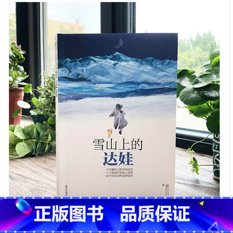 【不一样的雪山不一样的边防】雪山上的达娃 【正版】和云朵一起奔跑 23暑假阅读三四五六年级小学生趣味课外 奇幻想象成长