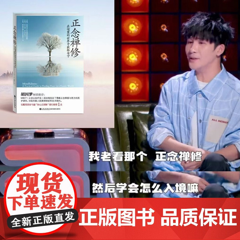 正念禅修 英 马克 威廉姆斯 美 丹尼 彭曼 在喧嚣的世界中获取安宁 正念减压疗法书籍哲学入门初学者 九州出版社书籍