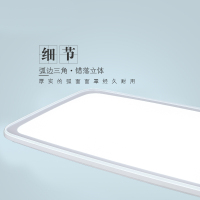 冠雅（GUANYA）XD8003-96W清雅大长方照明卧室吸顶灯简约现代其他圆形主卧房间灯书房吸顶灯照射面积30