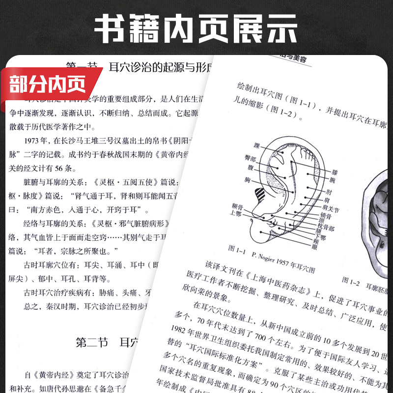 [正版] 图解耳穴诊治与美容 正 耳穴疗法 诊治基础 点位三部曲 保健美容按摩 五位医学名家联合 中国医药 97875高清大图