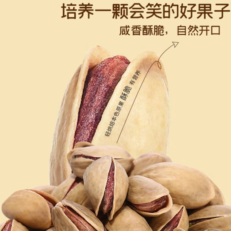 臻味 美国原色开心果 500g 瓶图片