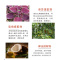 云南腾药 皂角洗发水皂角浸膏去屑舒缓天然补水控油柔顺有光泽去屑舒缓型400ml