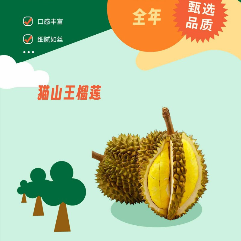 嗨果粒马来西亚猫山王榴莲D197-A款(2.1-2.6斤)
