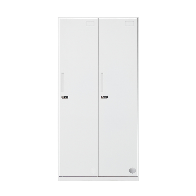 臻远 ZY-WJGD-10 更衣柜员工宿舍储物柜衣物收纳柜 二门