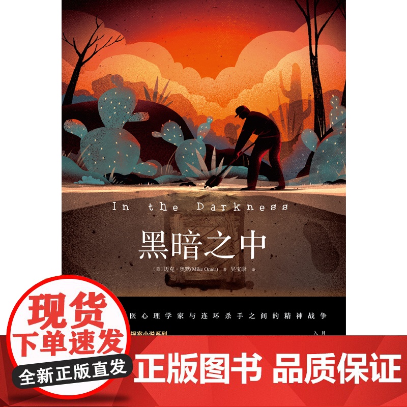 黑暗之中 迈克·奥默 现代出版社 正版书籍高清大图