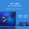 TCL 55V2-PRO 55寸电视机 单台装