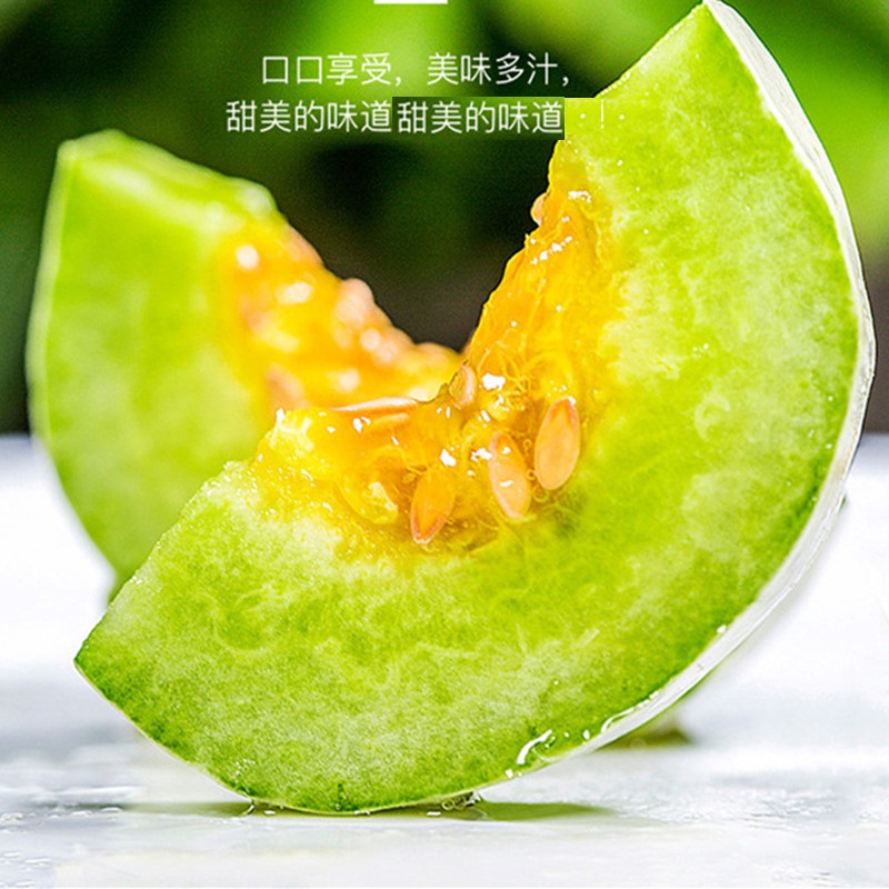 [鲜贝达]山东潍坊羊角蜜 甜瓜 博洋61甜瓜5斤装高清大图