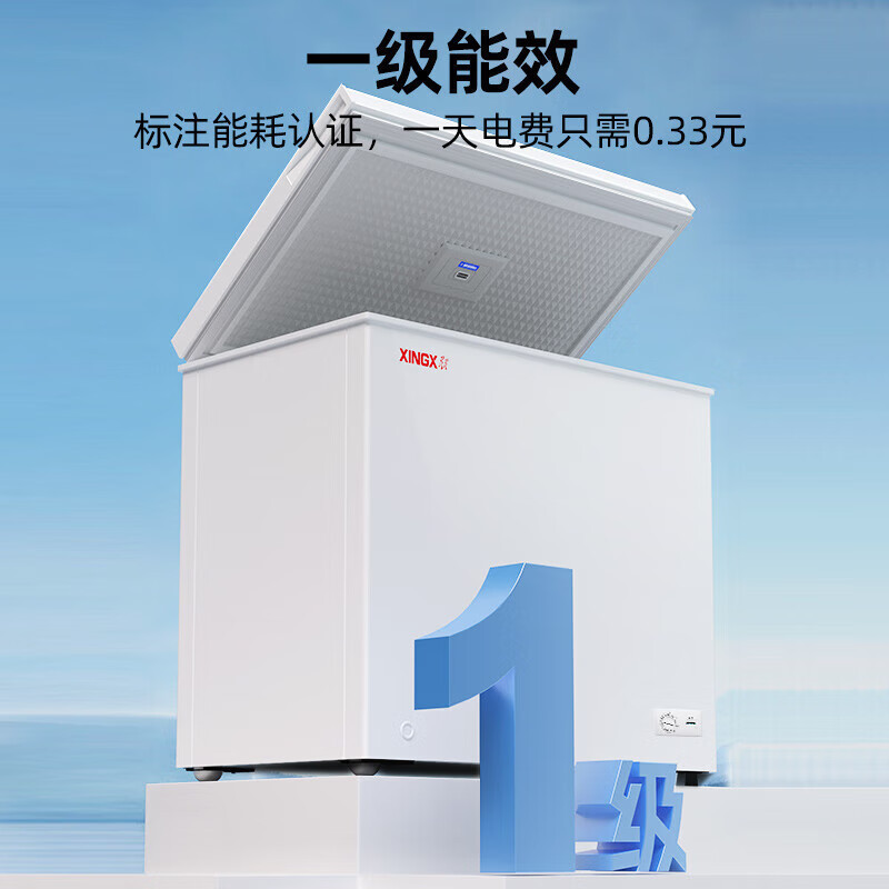 星星(XINGX)BD/BC-203QE家用小型冰柜 卧式冷柜预涂内胆单温厨房商用保鲜设备203升自动减霜1级能效
