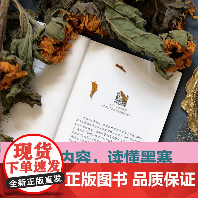 黑塞作品:在轮下 诺贝尔文学奖得主黑塞代表作品 天才少年陨落引起无数青少年共鸣引发对于教育制度的反思外国经典小说译林出版高清大图