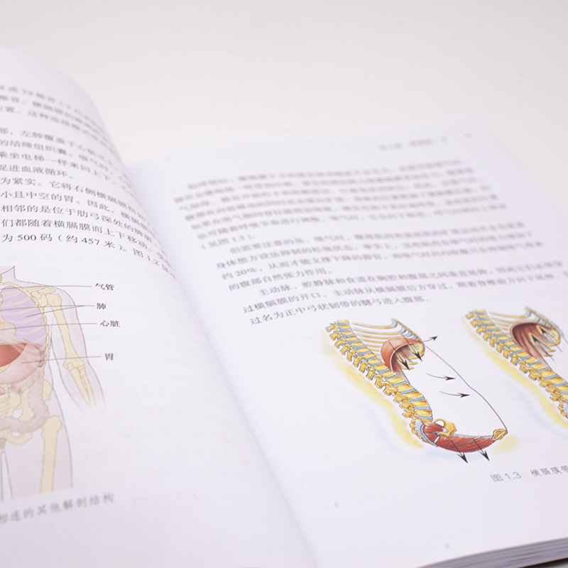 [正版]高效呼吸训练舞蹈瑜伽普拉提的功能性练习 健身书籍呼吸之间瑜伽普拉提书籍初级入门瑜伽解剖学瑜伽书籍教程高清大图