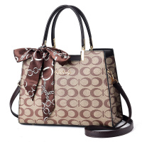 斯妮拉女包2022新款包包女复古定型甜美时尚女包斜挎单肩手提包_547_251 咖啡B