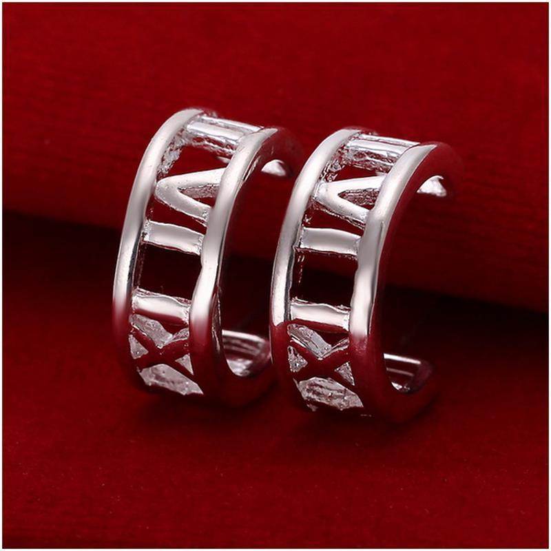 E046 Women silver plated earring 镀925纯银耳钉女时尚大气耳环