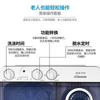 奥克斯（AUX）洗+脱共9.5kg 大容量家用半自动小型洗衣机 双桶双缸带甩干 租房宿舍用 HB60P90-98H