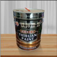 铁环 内墙 乳胶漆（颜色备注）20kg/桶