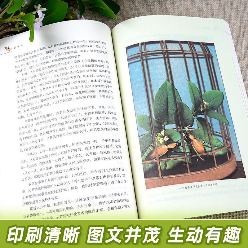 [八年级上必读]昆虫记-赠考点 [正版]昆虫记法布尔原著完整版初中生八年级上册课外书必读名著人教版中学生初二八上语文老师高清大图