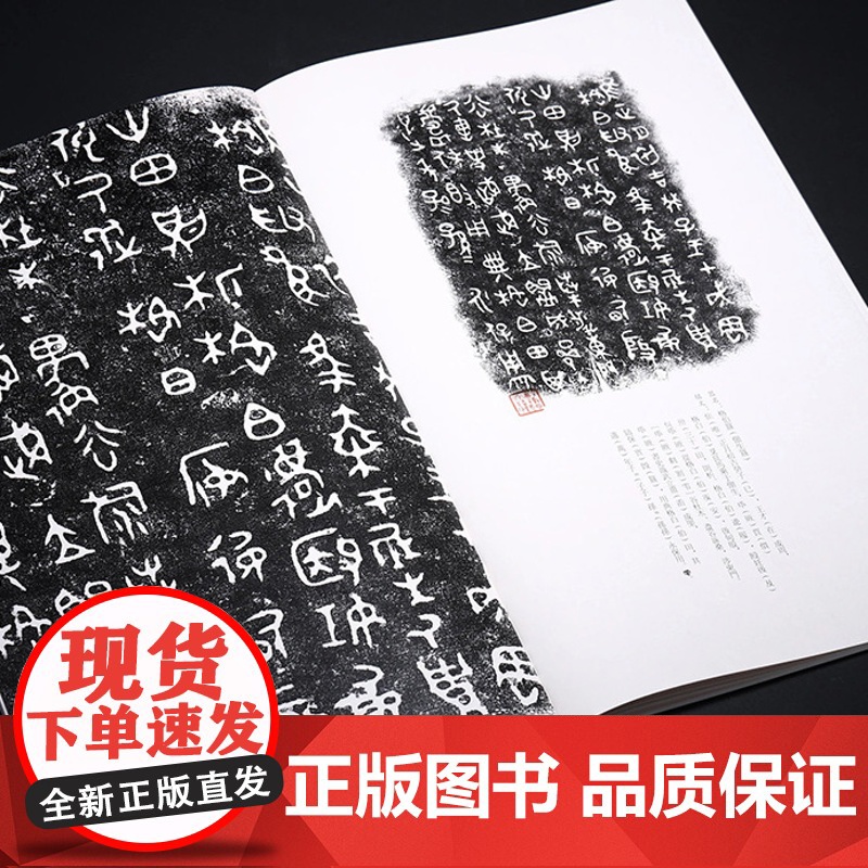 正版 金文书法大系第一辑合集(全5册)特别版 普通版 春秋商晚西周早中晚期金文原拓精品集结 上海书画出版社王立翔 朱高清大图