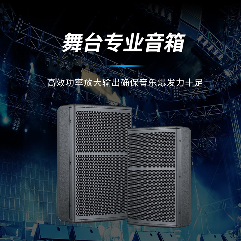 润普RP-HYX608 国产化音视频会议室展厅教室礼堂报告厅8英寸全频会议音响/音箱/喇叭扬声器高清大图