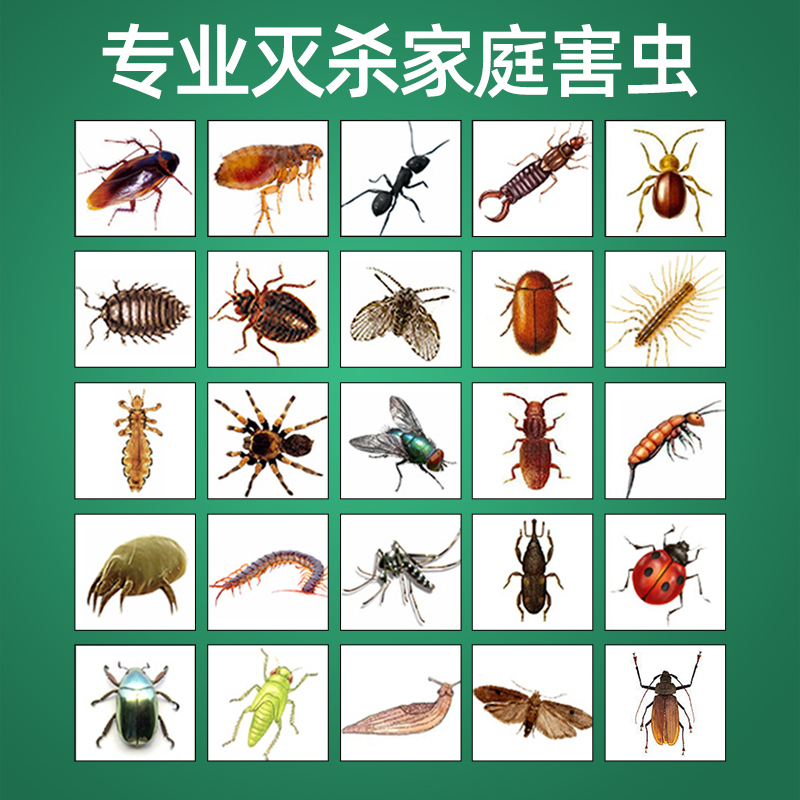杀虫剂家用室内无蟑螂药跳蚤药灭蚂蚁毒除蚊子驱虫喷雾剂神器2014