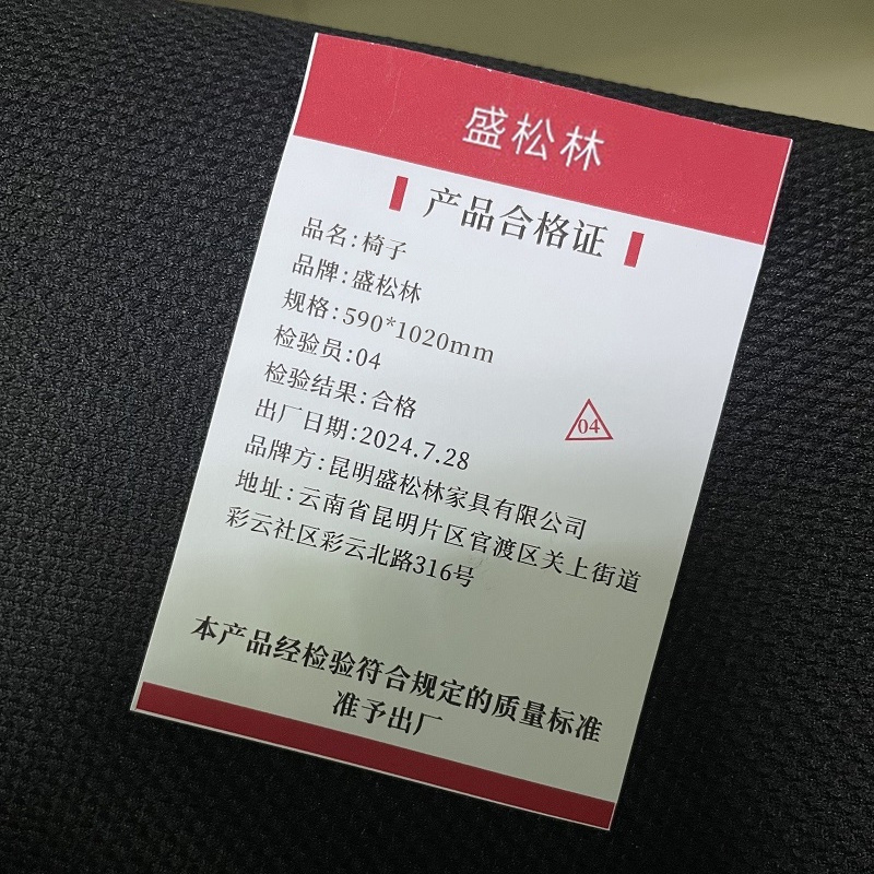 盛松林 办公椅 590*1020mm 把