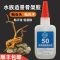 水景骨架胶粘沉木石头杜鹃根水草胶鱼缸造景胶水族专用无毒快干胶 水草胶5克1支