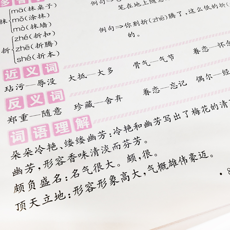 醉染图书小学语文同步字词句手册 5年级 下册9787557910198高清大图