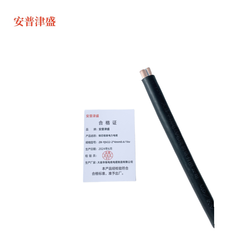 安普津盛 铜芯铠装电力电缆ZR-YJV22 2*4mm0.6/1kv 米高清大图