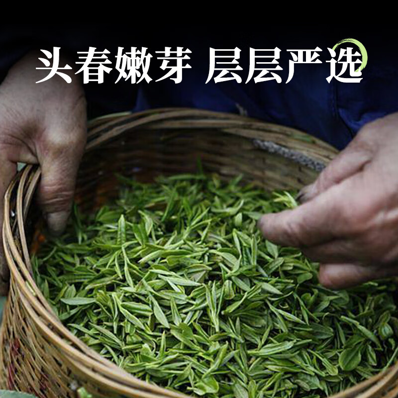 第一江南绿茶碧螺春 特级250g新茶明前茶叶礼盒罐装春茶嫩芽年货送礼品高清大图