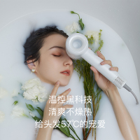 追觅(dreame)智能温控吹风机 智能高频温控 快速干发 恒温护发 负离子顺发 过热保护 送礼甄选电吹风 星空灰