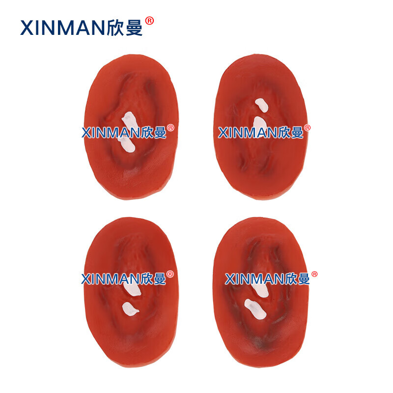 欣曼科教 创伤护理评估模块 伤情呈现模拟器材 34部件战创伤伤情模块组件 伤情呈现 伤情识别 XM-SQ34高清大图