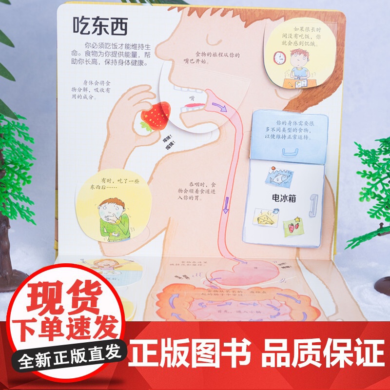 揭秘身体 3-6岁 英国尤斯伯恩出版公司 著 幼儿启蒙 翻翻书高清大图
