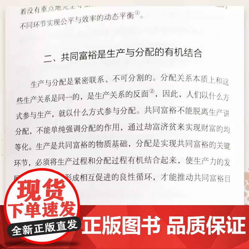 共同富裕:历史渊源与实现路径 周文,何雨晴著 教育*主题出版*点出版物,长江学者领衔权威理论解读 复旦大学出版社高清大图