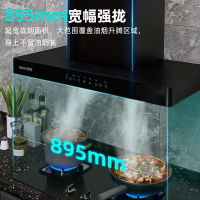 樱雪(INSE) 经典欧式抽油烟机 21m³/min大吸力 家用高端全黑晶钢化玻璃面板 高热熔自清洗油烟机F2221BW