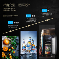 Midea 美的 JC-165GEV 165升凡帝罗家用侧开式 立式冰吧 冰柜 红酒柜 茶叶冷藏保鲜柜展示柜冷柜带制冰