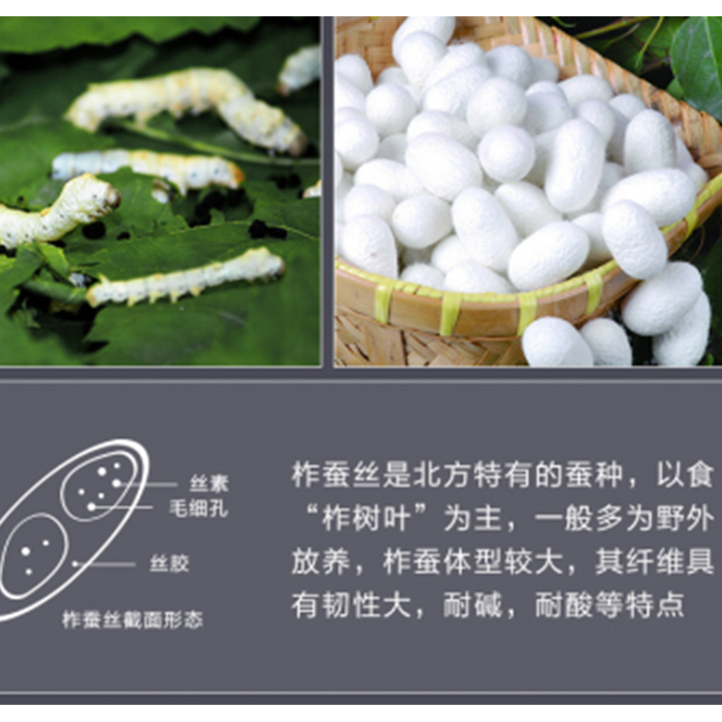 罗莱家纺(LUOLAI) /床上用品木棉十蚕丝被子被芯6斤