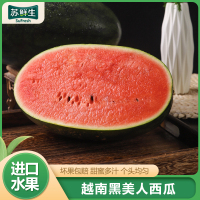 【苏鲜生】越南进口 东南亚热带黑美人西瓜1个 8-10斤 新鲜水果 汁多肉甜1
