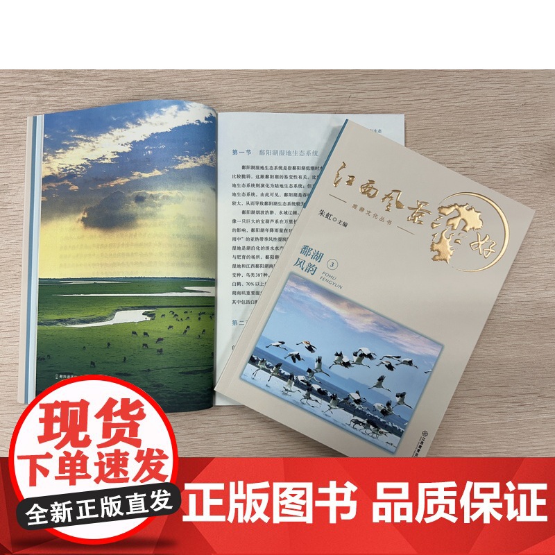 [2024新版]江西风景独好旅游文化丛书 朱虹主编 介绍江西人文特色及历史风情江西精品旅游路线,亲身体验江西的独特魅力经高清大图