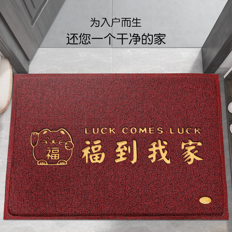 入户门地垫大门口丝圈脚垫家用进门出入平安门垫室内玄关蹭土地毯