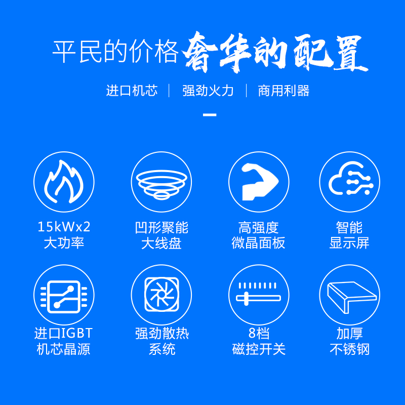 圣托(Shentop)双头单尾小炒炉 15kW饭店食堂电磁灶 双头单尾小炒炉 DCB13高清大图