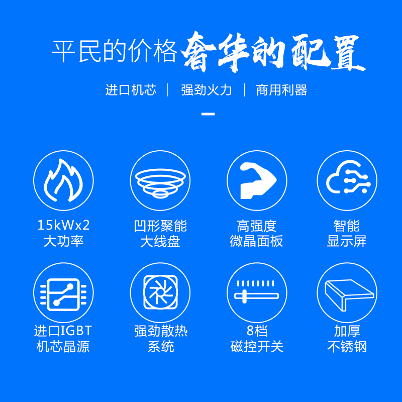 圣托(Shentop)双头单尾小炒炉 15kW饭店食堂电磁灶 双头单尾小炒炉 DCB13