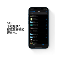 Apple iPhone 12 Pro 512G 海蓝色 移动联通电信5G全网通手机(测试商品,勿拍)