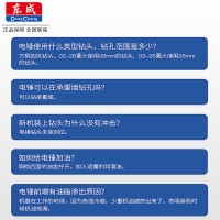 东成Dongcheng电锤家用多功能小型冲击钻东城电动工具大功率混凝土电捶电镐 [双用960W]02-28电锤镐钎套餐
