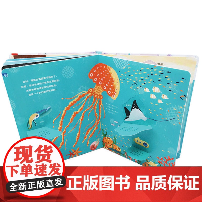 宝宝立体认知游戏书—海洋高清大图
