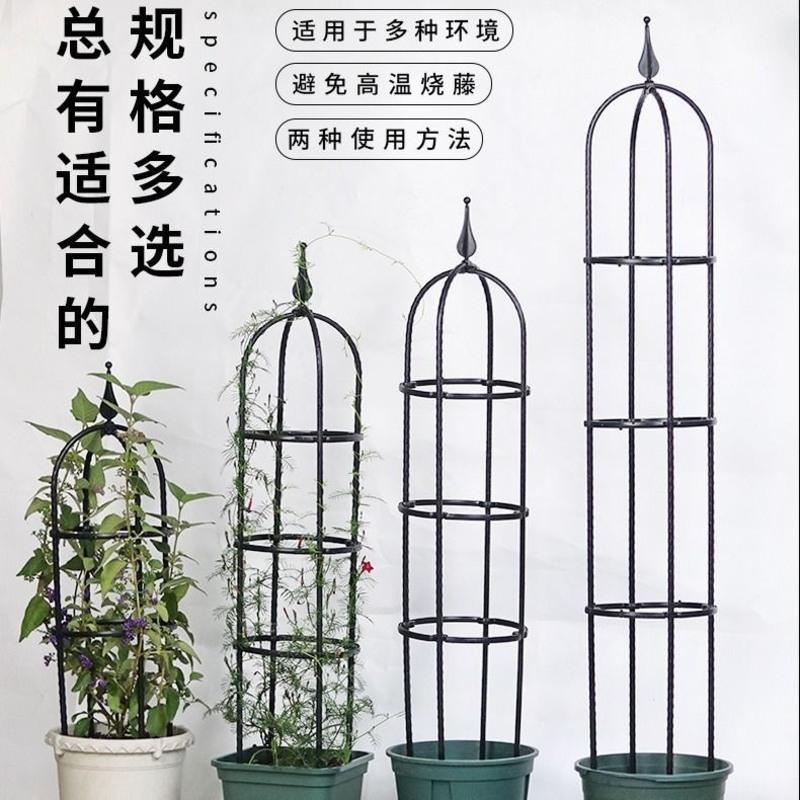 园艺爬藤花支架植物月季铁线莲紫藤支架攀爬花架阳台支撑架8mm 简约(黑色) 直径15高60cm-圈2个