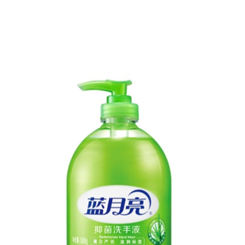 蓝月亮 bluemoon 芦荟抑菌洗手液 500g/瓶 12瓶/箱