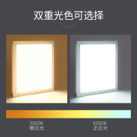 一极喜光(YIJIXIGUANG) led集成吊顶灯嵌入式面板灯厨卫灯铝扣板300*300平板灯集成300*600平板灯