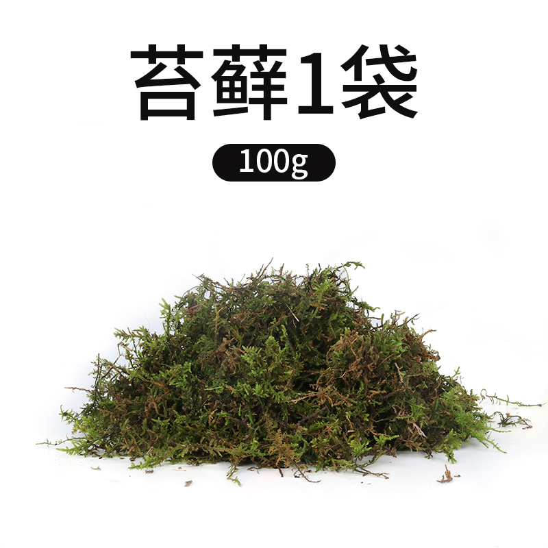 爬宠椰土巴西龟垫材爬宠椰砖饲养箱过冬沙保暖苔藓乌龟冬眠用品